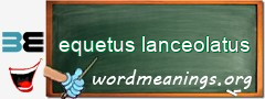 WordMeaning blackboard for equetus lanceolatus